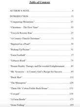 Parables of Joye - sacred-word-publishing-2